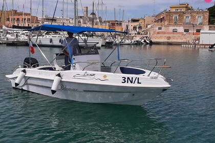 Charter Boat without licence  Tancredi BluMax 19 - 2025 Bisceglie