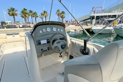 Bayliner