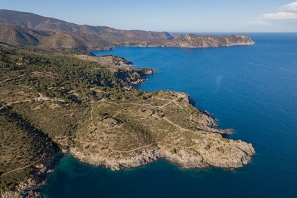 Blue Dream Snorkel, Kayak y Paddle Surf