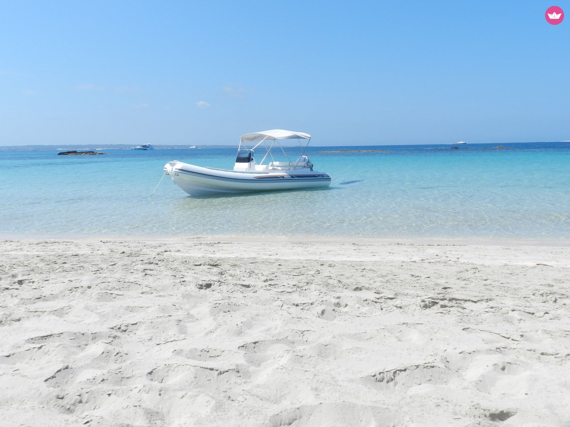 Selva D650 Ds in Ibiza for hire