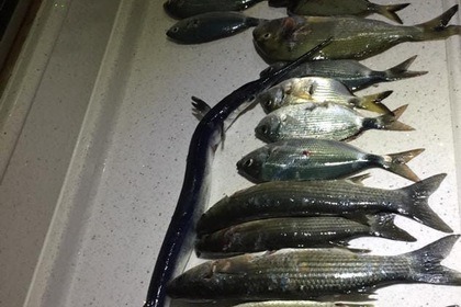 Blue Cruise with our Wooden Gulet