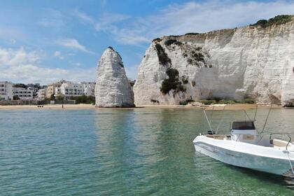 Blumax 19 open 40 CV