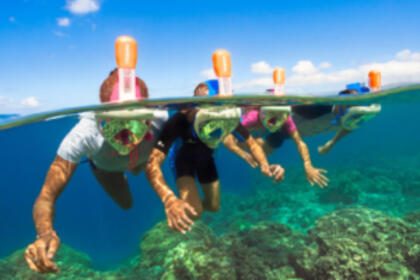 Valiant 760 Sportfishing