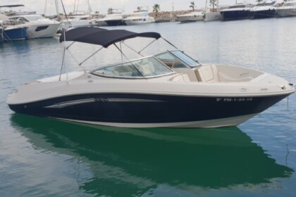Hire Motorboat Sea Ray 230 select Palma de Mallorca
