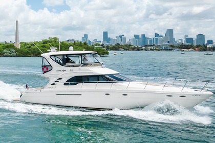 Charter Motor yacht Sea Ray 60 Flybridge Miami