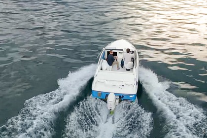 Rental Boat without license  Bayliner 195 Onno