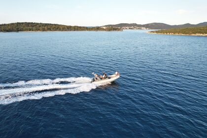 Alquiler Neumática Shark BF 23 Zadar