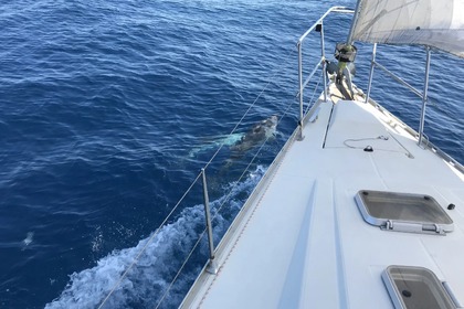 Location Voilier Jeanneau Sun Charm 39 Antibes