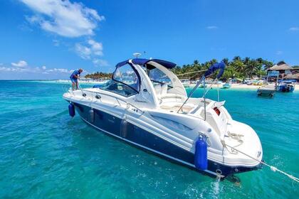 Charter Motorboat Sea Ray 440 Cancún
