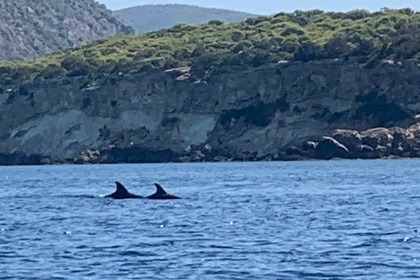 Rent RUBY Licence Free!