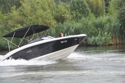 Miete Motorboot Sea Ray 190 Sport Kitzingen