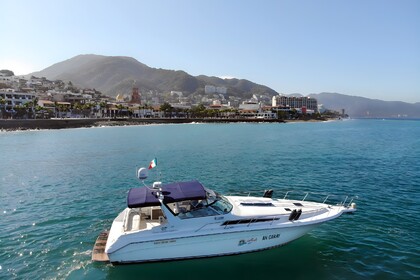 Rental Motorboat Sea Ray Sea Ray 42 Puerto Vallarta