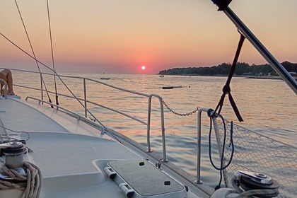 Dolphin watching and sunset