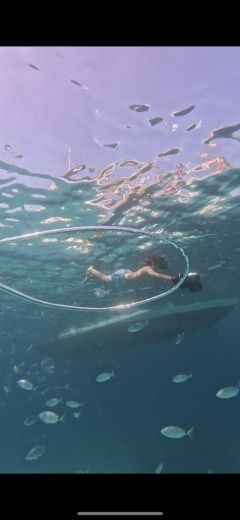 Κάννες Motorboat Quicksilver Activ 875 Sundeck alt tag text