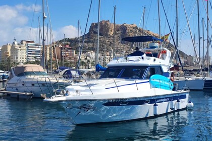 Location Bateau à moteur Doqueve 360 11 metros Alicante
