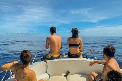 Miete Motorboot Quicksilver 555 commander Marseillan