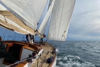Noleggio Barca a vela SCIARELLI / AMBROSI SCIA 50 SCHOONER Sanremo