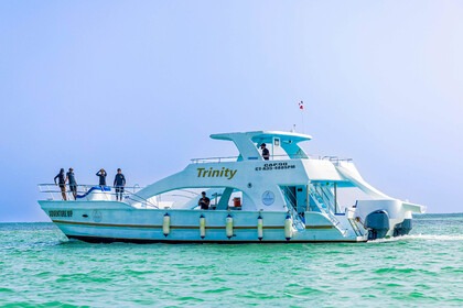 Rental Catamaran Private Catamaran For Large Groups 2018 Bávaro