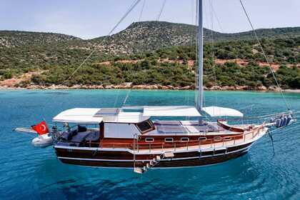 MT-41 15METERS 2CABINS