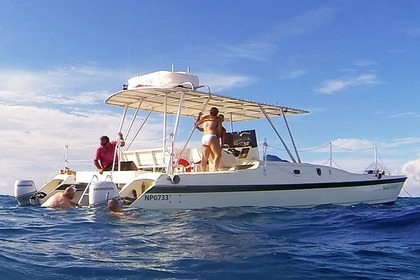 Location Catamaran Custom Motor Catamaran Providenciales