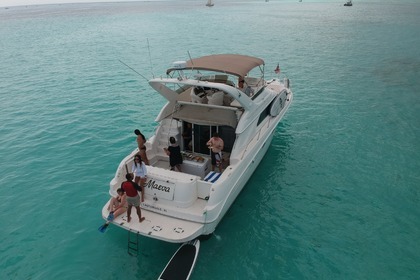 51' Sea Ray All Inclusive Charter