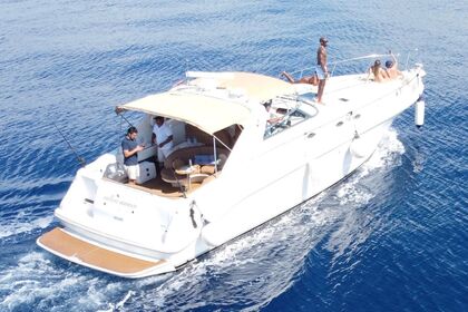 Hire Motor yacht Sea Ray SUNDANCER 45' Playa del Carmen