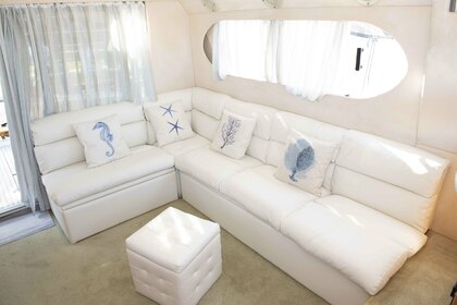 DellaPasqua fly DC13