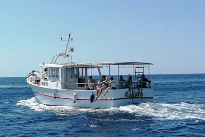 Noleggio Barca a motore WOODEN SHIP FISHING BOAT Banjole