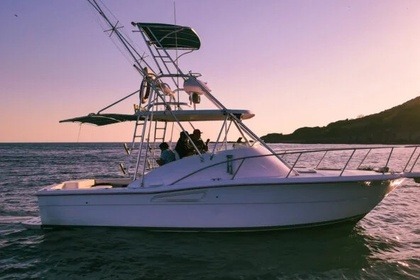 Luhrs 34 Sportfisher
