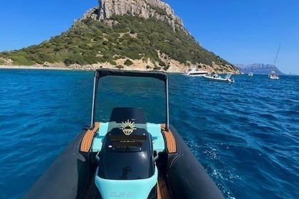 Hire Boat without licence  Olbia 2 bar 62 Golfo Aranci