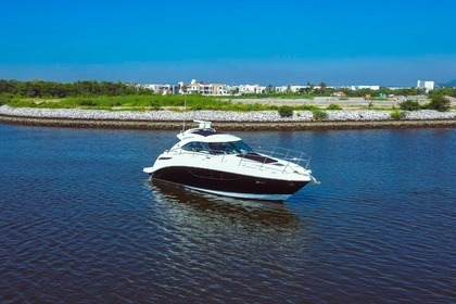 Charter Motorboat Sea Ray 440 Mazatlán