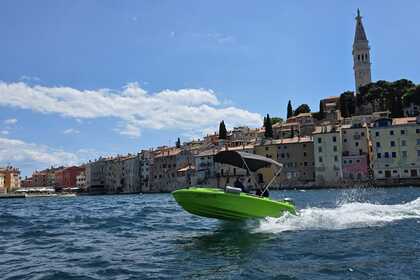 Hire Motorboat Roto Roto450s family Rovinj