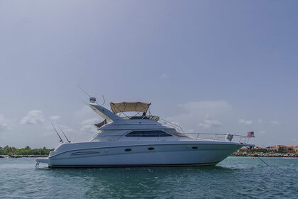 Rental Motor yacht Sea Ray 450 Puerto Aventuras
