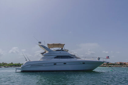 Sea Ray 450