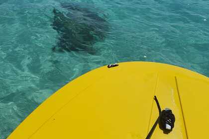 Rental Boat without license  Jeanneau Prélude Cannes