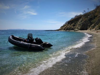 Rental RIB 3D Tender X Pro Defender 5.35M La Londe-les-Maures