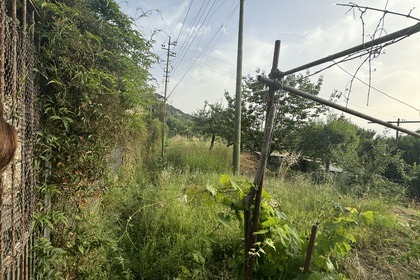 Capri Charter - Rubacuori gozzo Boat