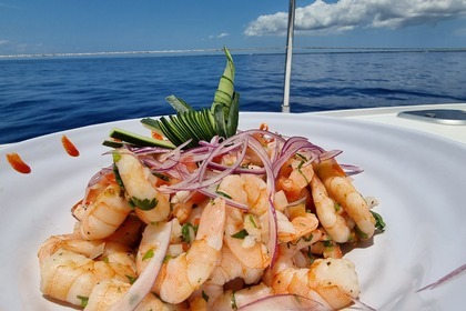 Experience Luxury and Adventure Aboard the Truco III Leopard 51 ft. Catamaran