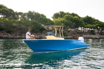 Rental Motorboat LILYBAEUM YACHT LEVANZO 25 Palma de Mallorca