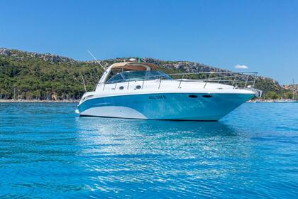 yacht Sea Ray 455 Sundancer