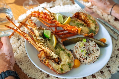 Rental Sailboat Lagoon 450F Marigot