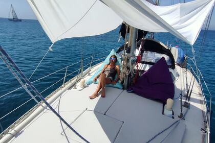 Cisne Negro (North Wind 435)