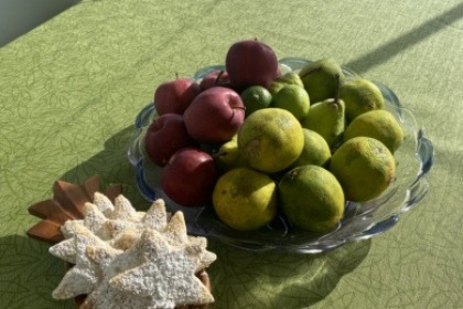 Lagoon 55 Private Catamaran Charter San Blas Panama