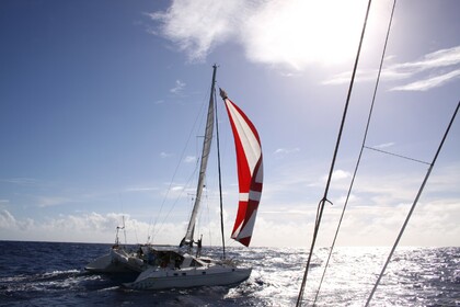 Location Catamaran JEANTOT MARINE Privilège 51 Le Marin