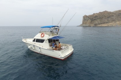 Rental Motorboat Rodman 1250 Mogán