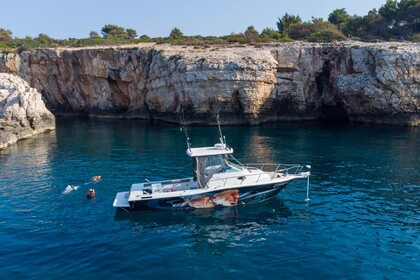 Hire Motorboat Sportcraft 252 Medulin