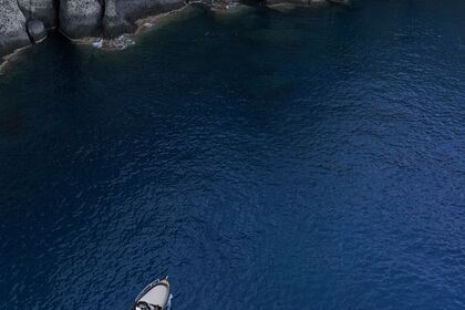 BOAT RENTAL- LICENSE FREE