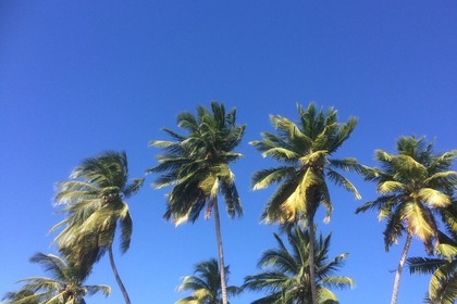 NEW : Nautitech 46 Open 2019