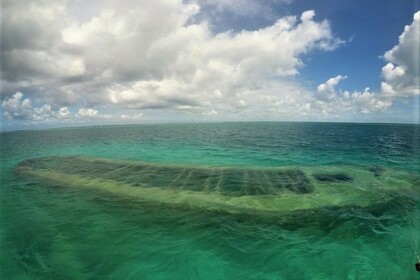 barca per visitare le isole e mangrovie