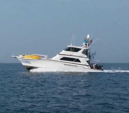 Charter Motorboat Bertram Bertram 60' Panama